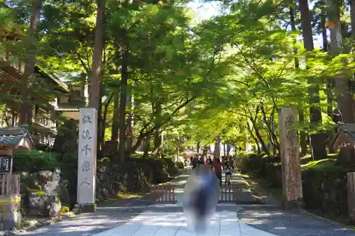 永平寺(福井県)