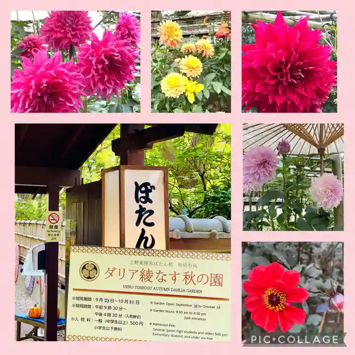 上野東照宮(東京都)