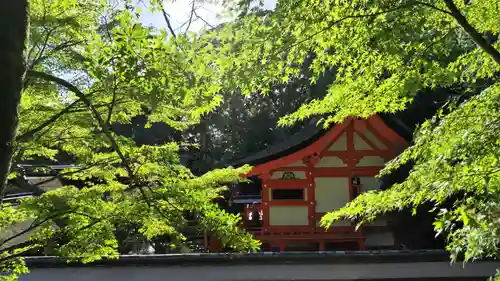 出雲大神宮の本殿・本堂