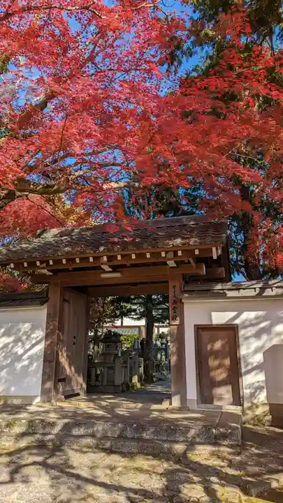 西雲院(京都府)