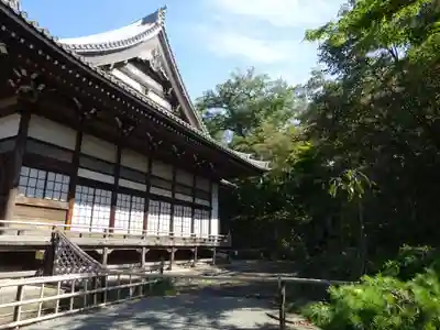 妙蓮寺のその他建物