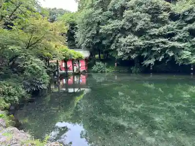 富士山本宮浅間大社(静岡県)