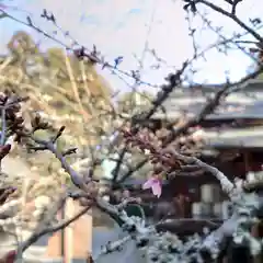 小御門神社の自然