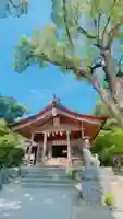 宝満宮竈門神社の本殿・本堂