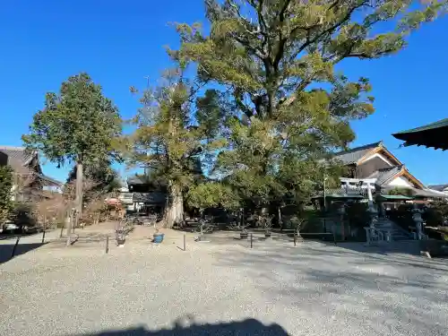日吉神社(水口町泉)(滋賀県)