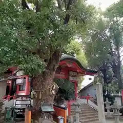 我堂八幡宮の建物その他