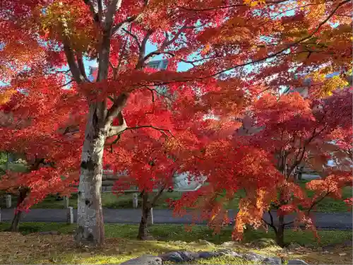  智積院(京都府)