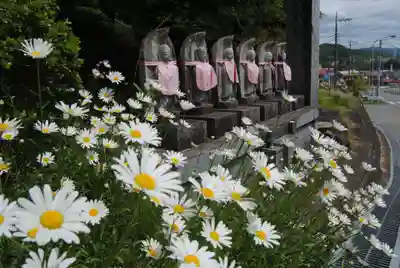 馬頭院(栃木県)