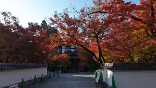 禅林寺（永観堂）(京都府)