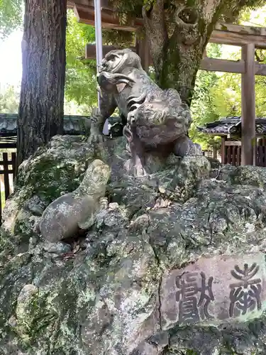 牛嶋神社の狛犬