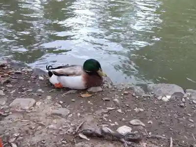 生島足島神社(長野県)