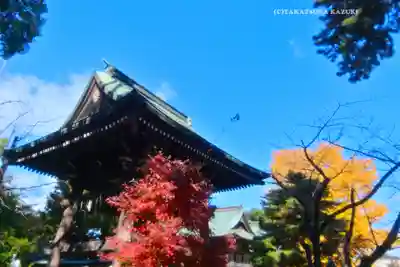 葛飾八幡宮(千葉県)