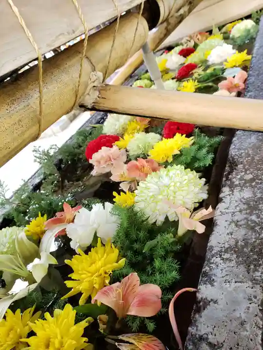 鳩森八幡神社の手水舎