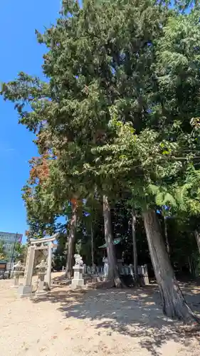 新宮神社御旅所(滋賀県)