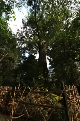 須佐神社のその他建物