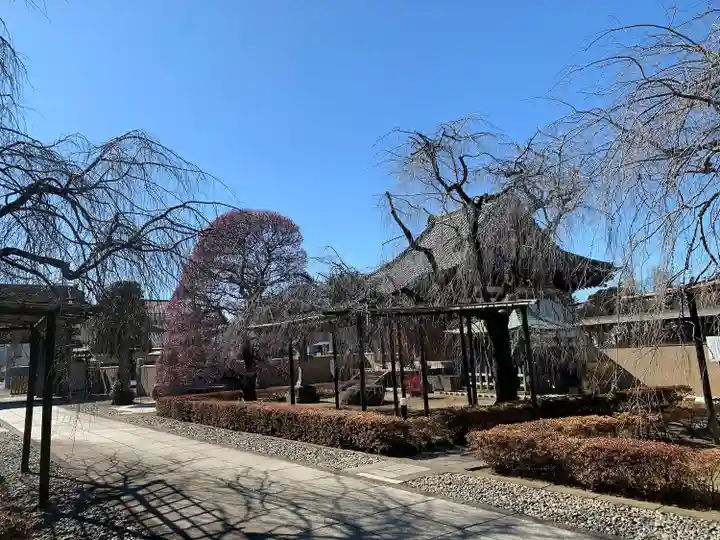 五宝寺(群馬県)