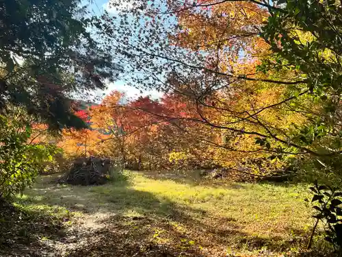 弘川寺(大阪府)