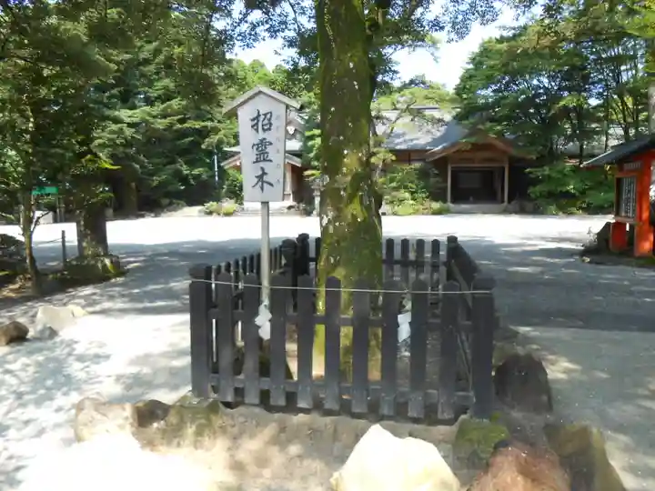 霧島神宮(鹿児島県)