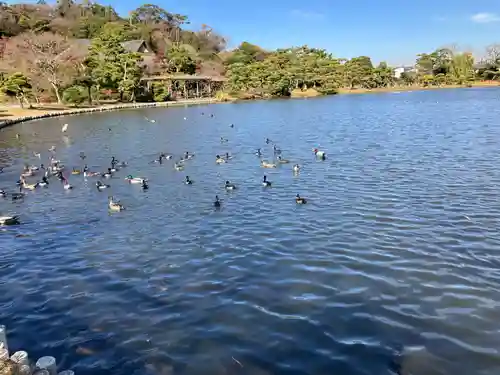 三渓園天満宮(神奈川県)