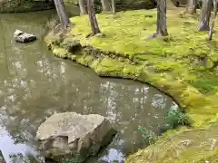 西芳寺(京都府)