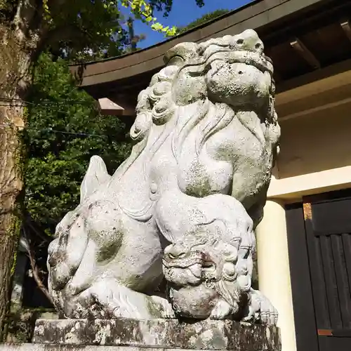 土肥神社の狛犬