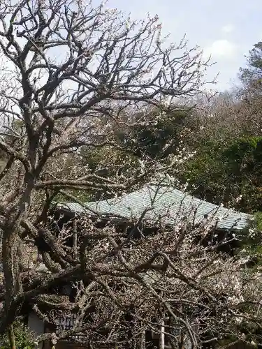 瑞泉寺のその他建物