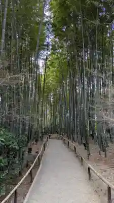 高台寺（高台寿聖禅寺・高臺寺）(京都府)