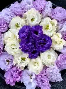 鹿島台神社(宮城県)(2022年10月15日(土) 22時57分02秒投稿)