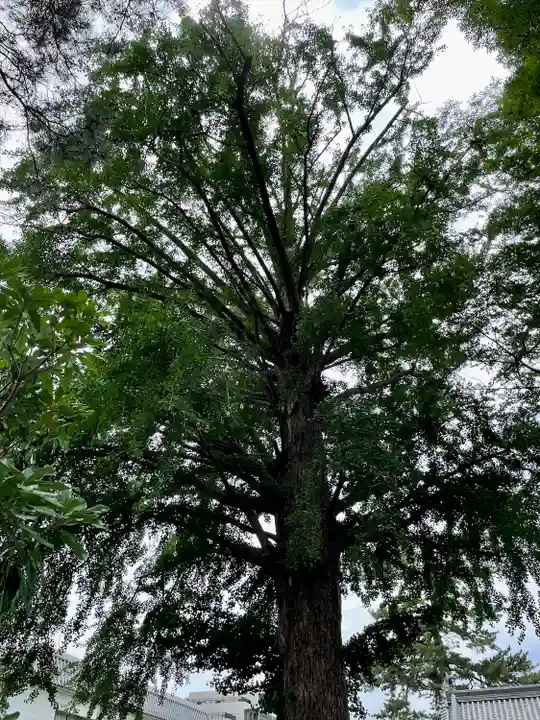 禅林寺(東京都)