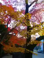 功山寺(山口県)