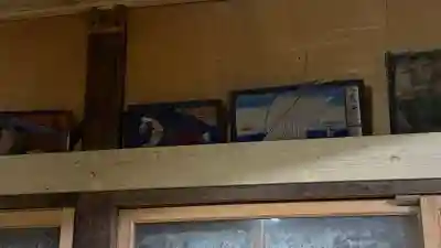 三好八幡神社の{uncategorized: "未分類", other: "その他", undefined: "問題あり", building: "その他建物", grave: "お墓", sacred_gate: "鳥居", guardian: "狛犬", statue: "像", buddha: "仏像", history: "歴史", nature: "自然", garden: "庭園", animal: "動物", pagoda: "塔", temizu: "手水舎", mountain_gate: "山門・神門", sanctuary: "本殿・本堂", subordinate: "末社・摂社", art: "芸術", scenery: "景色", jizo: "地蔵", ema: "絵馬", goshuin: "御朱印", omikuji: "おみくじ", items: "授与品その他", amulet: "お守り", goshuincho: "御朱印帳", eats: "食事", festival: "お祭り", votive_dance: "神楽", shichigosan: "七五三参", wedding: "結婚式", experience: "体験その他", initially: "初詣", around: "周辺", anti_infection: "感染症対策"}