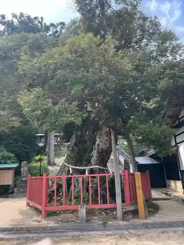 山王宮日吉神社(京都府)