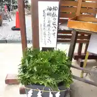 七重浜海津見神社(北海道)