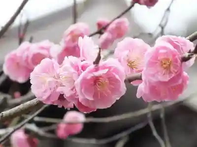 石山寺(滋賀県)