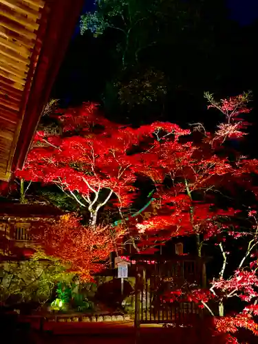 宝満宮竈門神社の自然