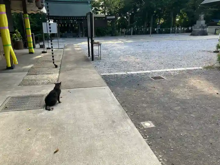 所澤神明社(埼玉県)