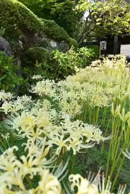 横浜　西方寺(神奈川県)