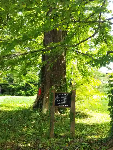 角田神社の自然