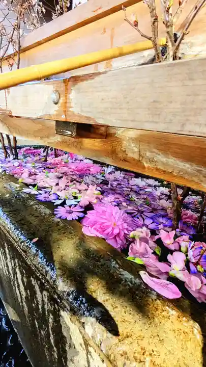 検見川神社の手水舎