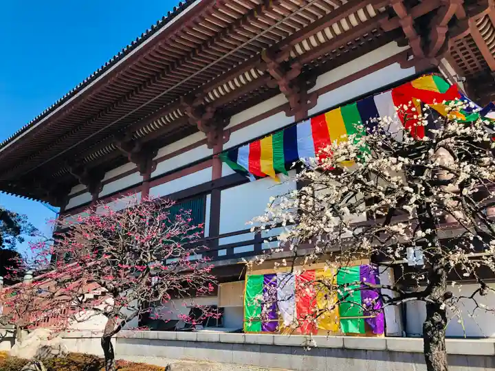 西新井大師総持寺の本殿・本堂