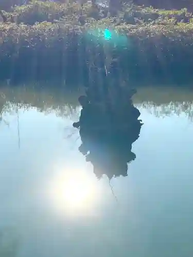 医王寺(茨城県)