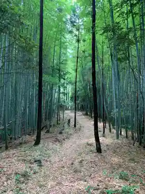 住吉神社(千葉県)