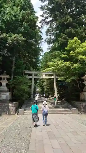 彌彦神社の鳥居