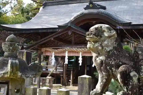 大和神社の狛犬