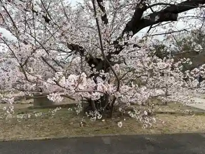 兵庫縣神戸護國神社(兵庫県)