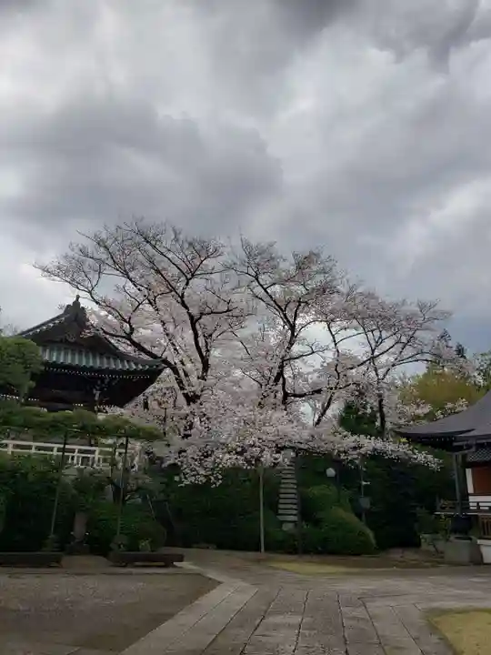福蔵院(東京都)