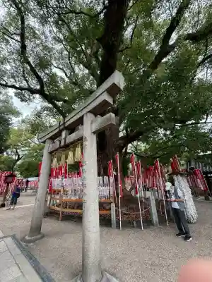 楠珺社（住吉大社末社）の{uncategorized: "未分類", other: "その他", undefined: "問題あり", building: "その他建物", grave: "お墓", sacred_gate: "鳥居", guardian: "狛犬", statue: "像", buddha: "仏像", history: "歴史", nature: "自然", garden: "庭園", animal: "動物", pagoda: "塔", temizu: "手水舎", mountain_gate: "山門・神門", sanctuary: "本殿・本堂", subordinate: "末社・摂社", art: "芸術", scenery: "景色", jizo: "地蔵", ema: "絵馬", goshuin: "御朱印", omikuji: "おみくじ", items: "授与品その他", amulet: "お守り", goshuincho: "御朱印帳", eats: "食事", festival: "お祭り", votive_dance: "神楽", shichigosan: "七五三参", wedding: "結婚式", experience: "体験その他", initially: "初詣", around: "周辺", anti_infection: "感染症対策"}
