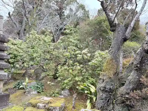 真龍寺(大阪府)