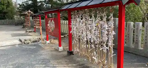 筑波山神社のおみくじ