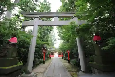 馬橋稲荷神社の鳥居
